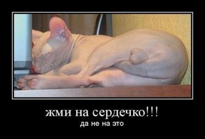 Прикрепленное изображение: 042942206o.jpg